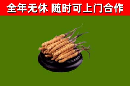 秦安县烟酒回收冬虫夏草.jpg